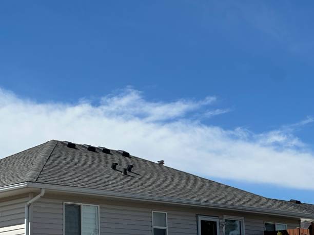 Best Gutter Installation and Repair  in Mountain House, CA
